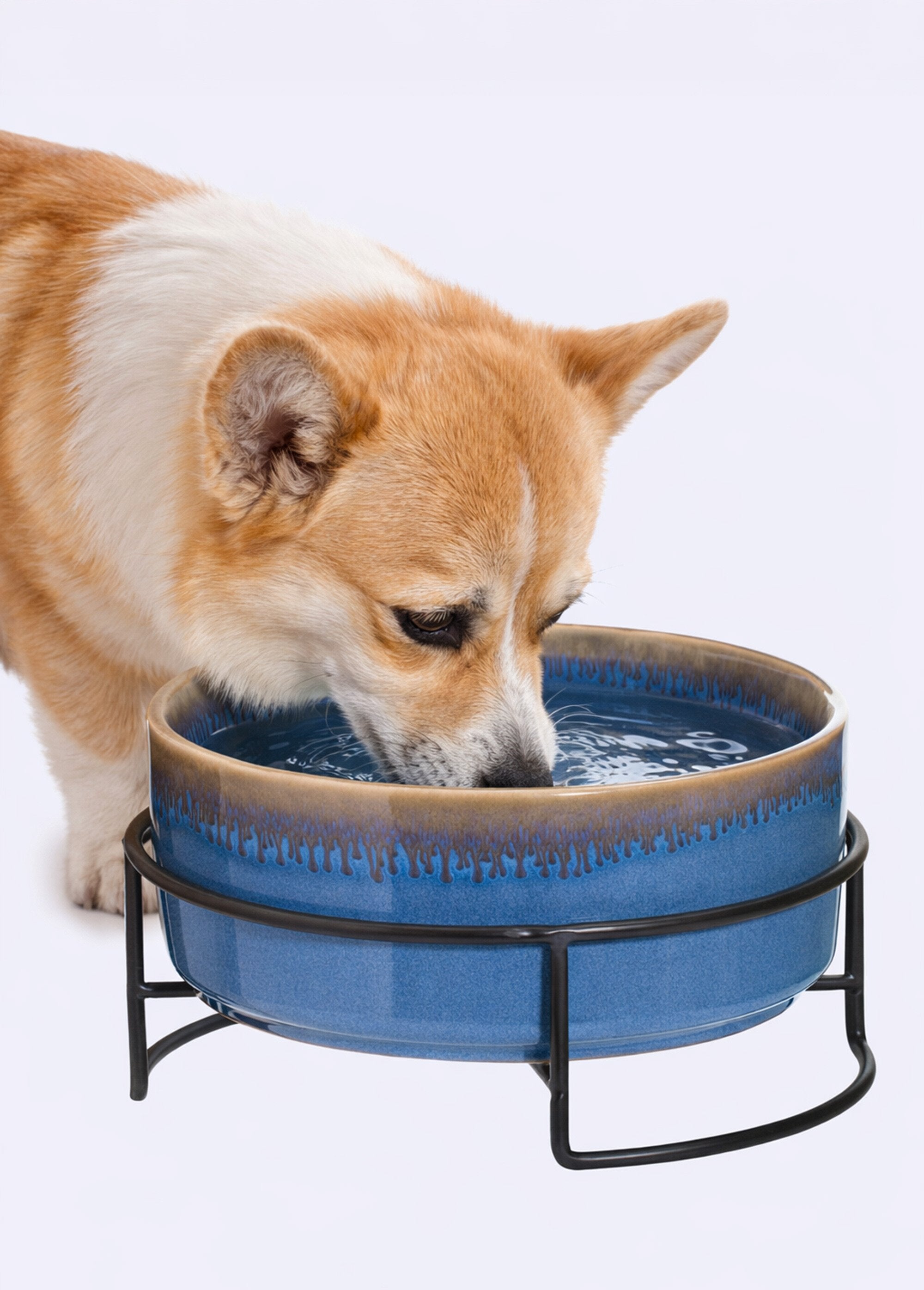 Ceramic_pet_bowl_Blue_SF1_slim