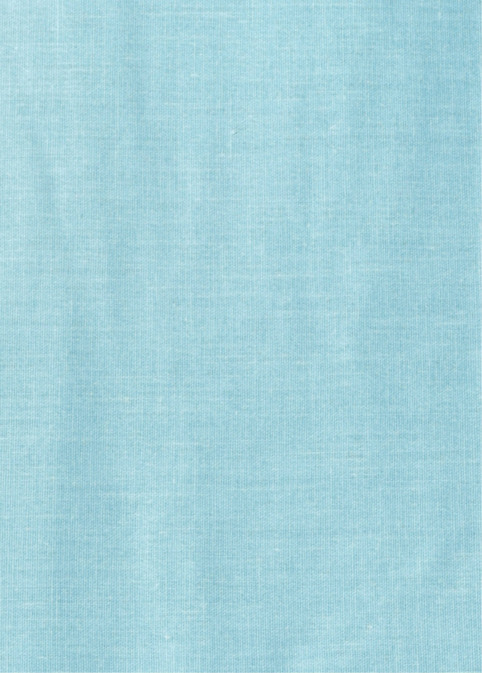 4-piece_bed_set_with_flat_sheet,_fans_Blue_DE2_slim