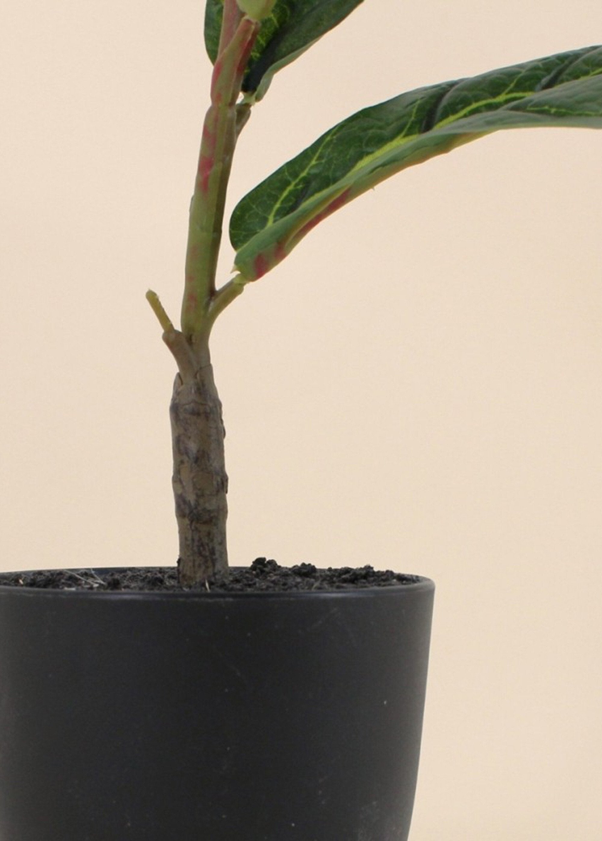 Artificial_Fiddle-leaf_Fig_Plant_+_Pot_Black_DE2_slim