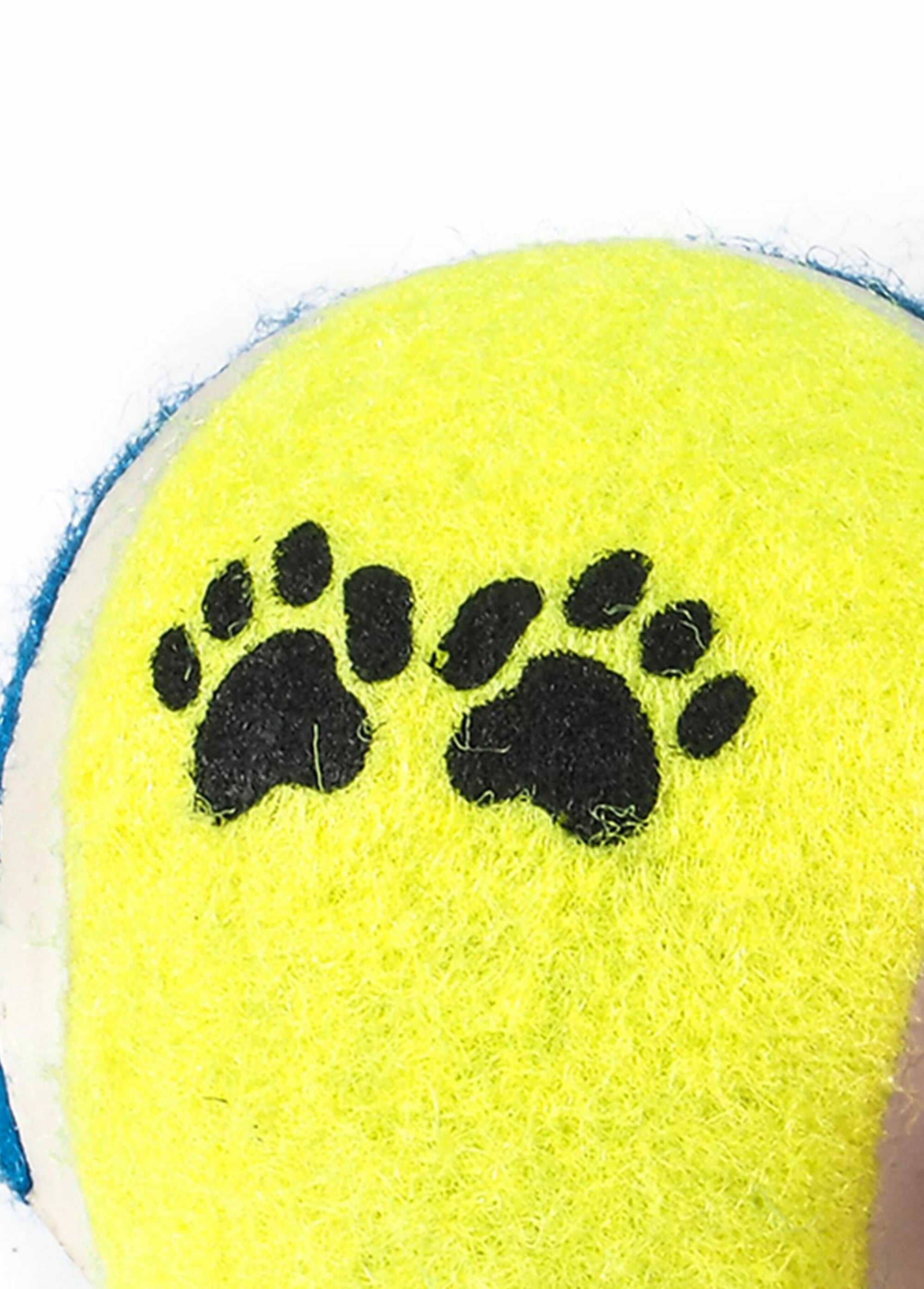 Set_of_3_tennis_ball_toys_for_dogs_YELLOW_DE1_slim