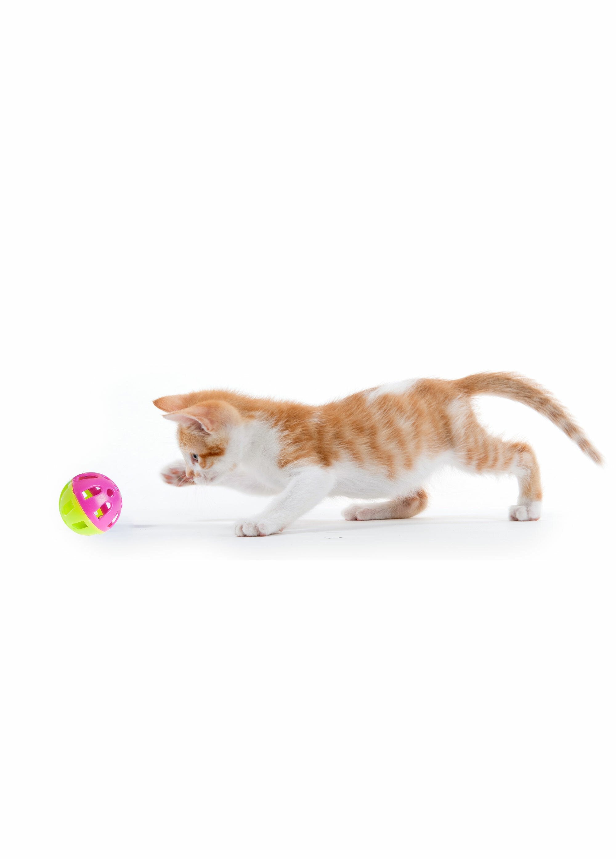 Set_of_4_toy_balls_for_cats_Green_DE1_slim