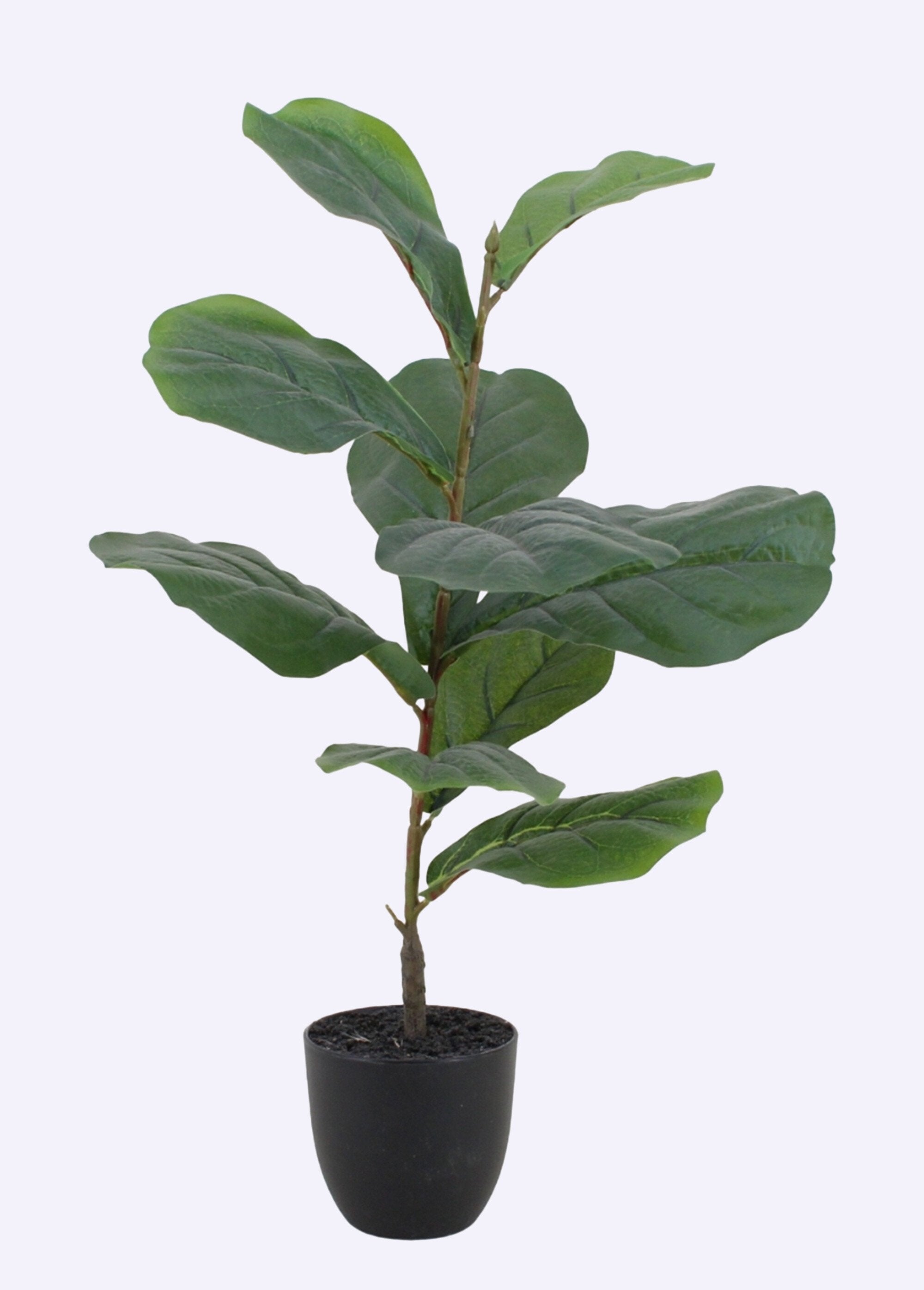 Artificial_Fiddle-leaf_Fig_Plant_+_Pot_Black_FA1_slim